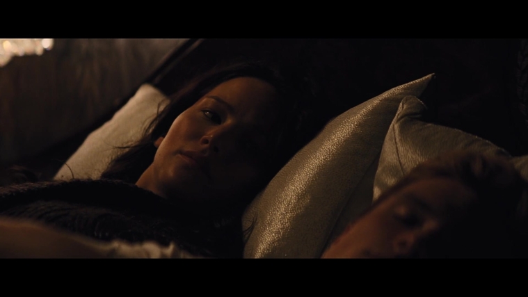 The_Hunger_Games_Catching_Fire_2013_1080p_BluRay_x264_AAC_-_Ozlem_02594.jpg