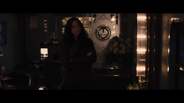 The_Hunger_Games_Catching_Fire_2013_1080p_BluRay_x264_AAC_-_Ozlem_02611.jpg
