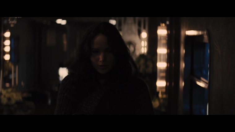 The_Hunger_Games_Catching_Fire_2013_1080p_BluRay_x264_AAC_-_Ozlem_02617.jpg