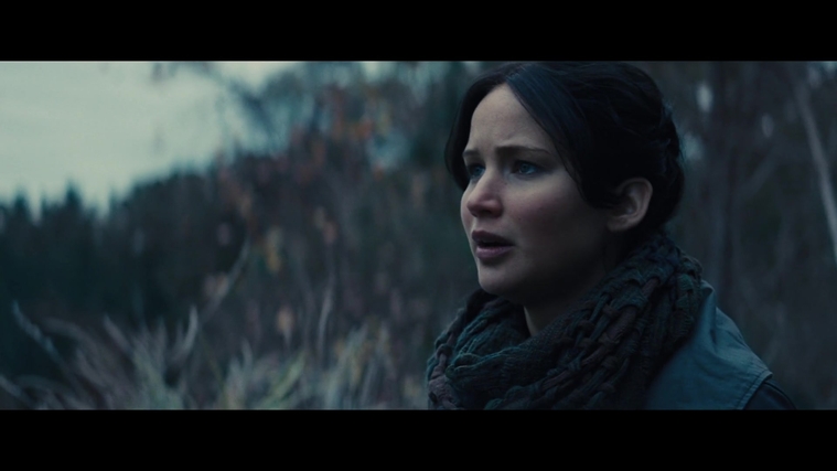 The_Hunger_Games_Catching_Fire_2013_1080p_BluRay_x264_AAC_-_Ozlem_02789.jpg