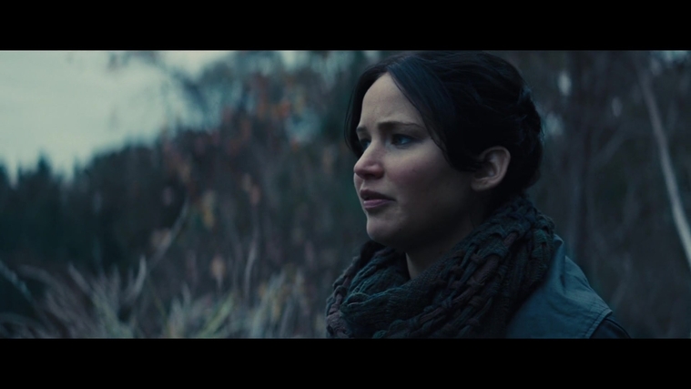 The_Hunger_Games_Catching_Fire_2013_1080p_BluRay_x264_AAC_-_Ozlem_02790.jpg