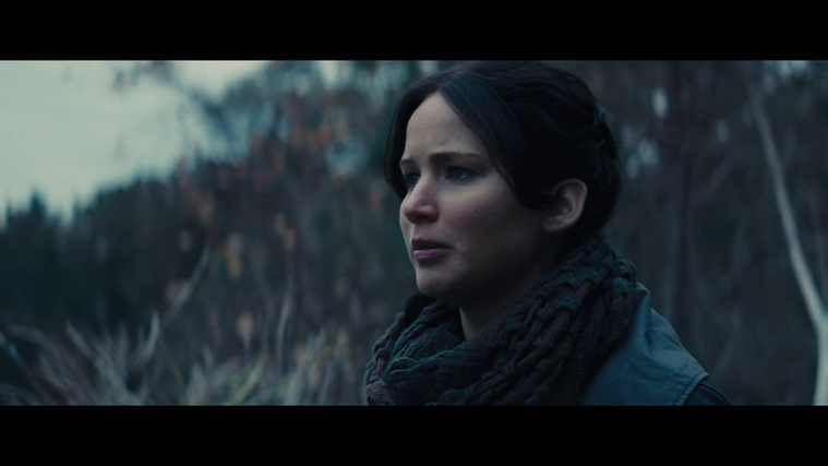 The_Hunger_Games_Catching_Fire_2013_1080p_BluRay_x264_AAC_-_Ozlem_02791.jpg