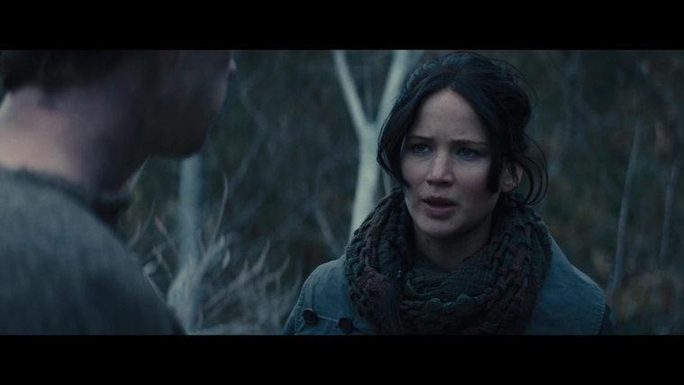The_Hunger_Games_Catching_Fire_2013_1080p_BluRay_x264_AAC_-_Ozlem_02810.jpg