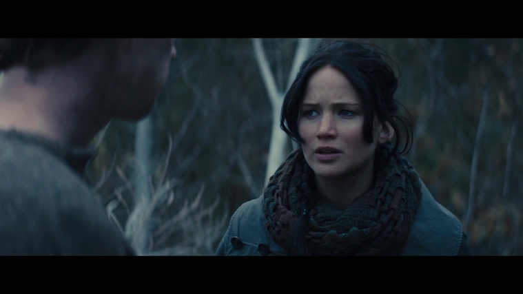 The_Hunger_Games_Catching_Fire_2013_1080p_BluRay_x264_AAC_-_Ozlem_02811.jpg