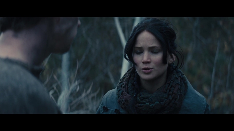 The_Hunger_Games_Catching_Fire_2013_1080p_BluRay_x264_AAC_-_Ozlem_02812.jpg