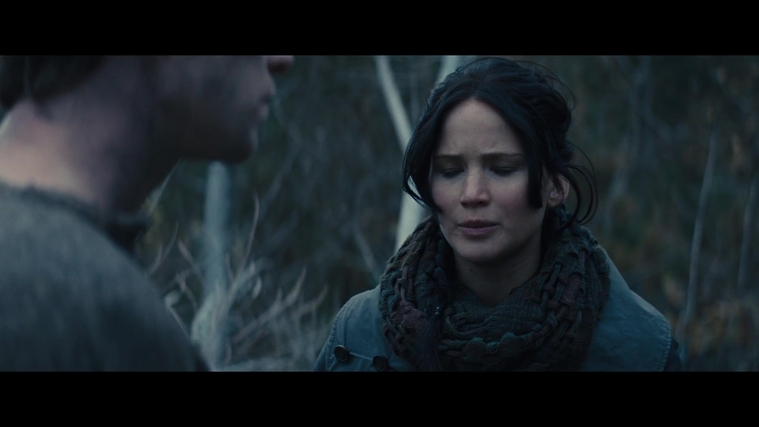 The_Hunger_Games_Catching_Fire_2013_1080p_BluRay_x264_AAC_-_Ozlem_02813.jpg