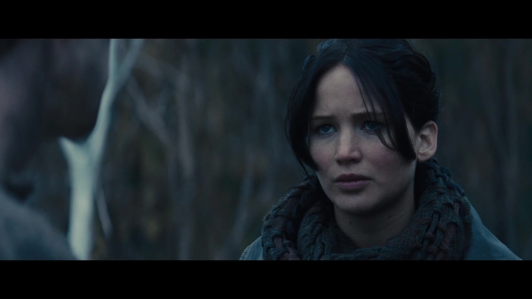 The_Hunger_Games_Catching_Fire_2013_1080p_BluRay_x264_AAC_-_Ozlem_02818.jpg