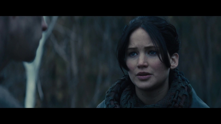 The_Hunger_Games_Catching_Fire_2013_1080p_BluRay_x264_AAC_-_Ozlem_02821.jpg