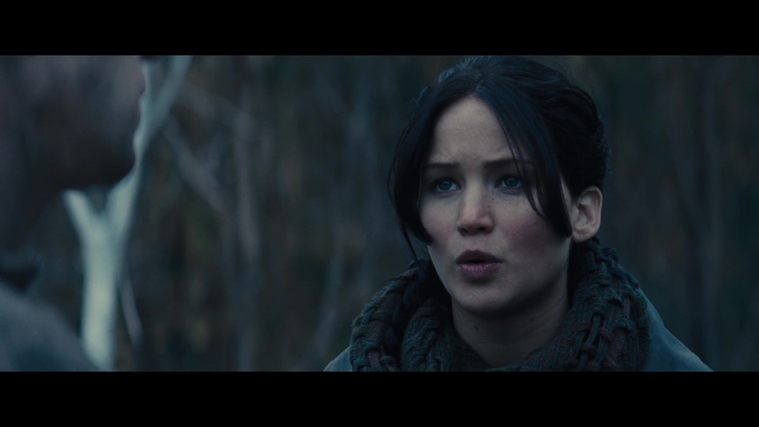 The_Hunger_Games_Catching_Fire_2013_1080p_BluRay_x264_AAC_-_Ozlem_02823.jpg