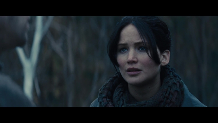The_Hunger_Games_Catching_Fire_2013_1080p_BluRay_x264_AAC_-_Ozlem_02825.jpg