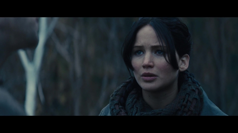 The_Hunger_Games_Catching_Fire_2013_1080p_BluRay_x264_AAC_-_Ozlem_02827.jpg