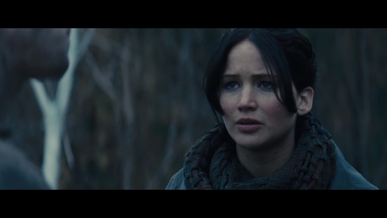 The_Hunger_Games_Catching_Fire_2013_1080p_BluRay_x264_AAC_-_Ozlem_02828.jpg