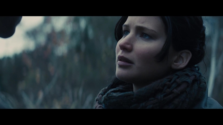 The_Hunger_Games_Catching_Fire_2013_1080p_BluRay_x264_AAC_-_Ozlem_02831.jpg