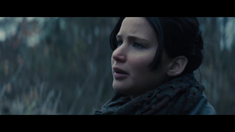 The_Hunger_Games_Catching_Fire_2013_1080p_BluRay_x264_AAC_-_Ozlem_02834.jpg