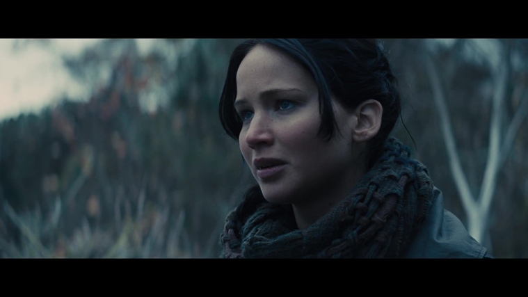 The_Hunger_Games_Catching_Fire_2013_1080p_BluRay_x264_AAC_-_Ozlem_02845.jpg