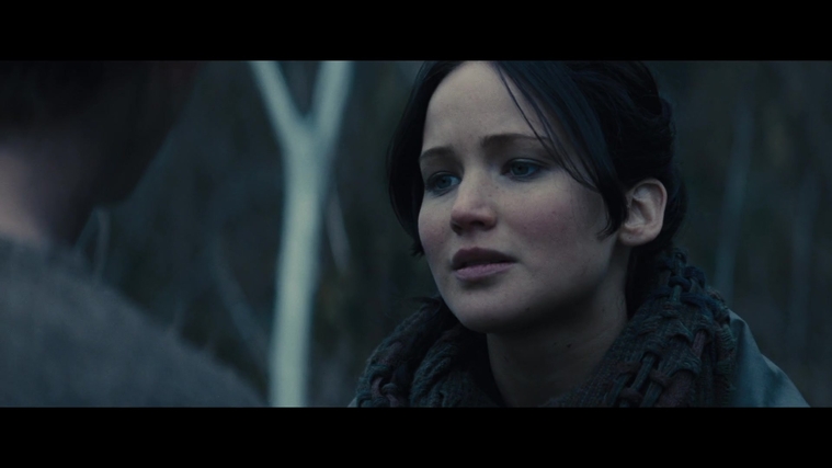 The_Hunger_Games_Catching_Fire_2013_1080p_BluRay_x264_AAC_-_Ozlem_02852.jpg