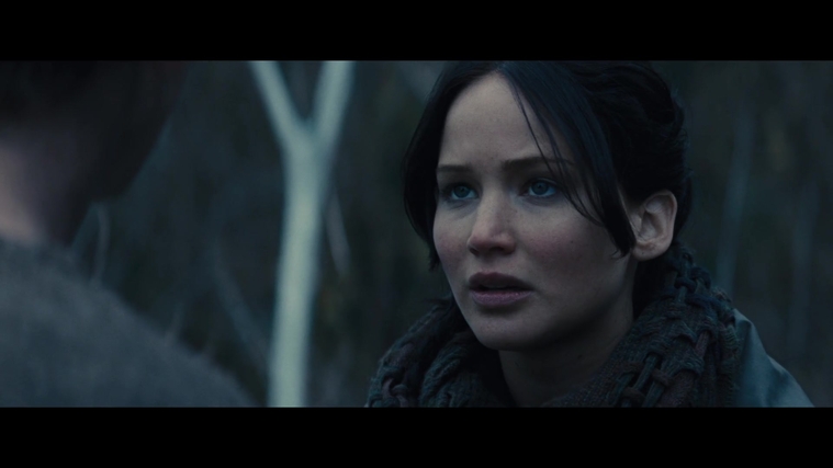The_Hunger_Games_Catching_Fire_2013_1080p_BluRay_x264_AAC_-_Ozlem_02854.jpg