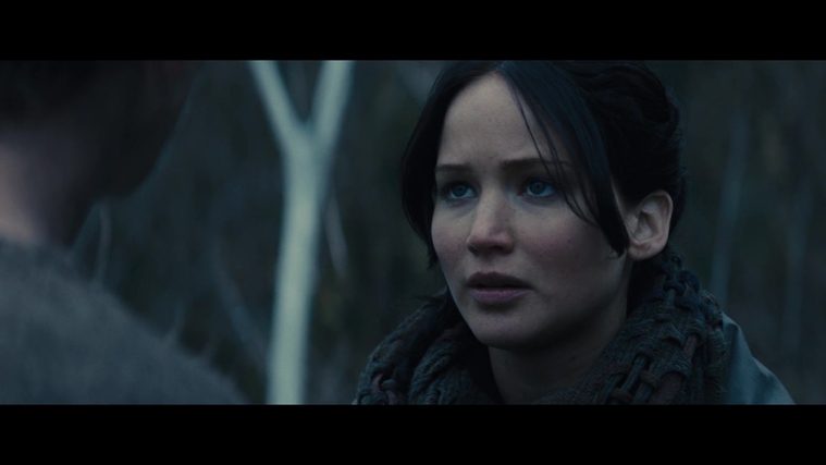 The_Hunger_Games_Catching_Fire_2013_1080p_BluRay_x264_AAC_-_Ozlem_02856.jpg