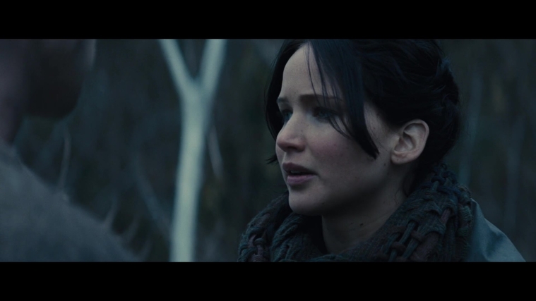 The_Hunger_Games_Catching_Fire_2013_1080p_BluRay_x264_AAC_-_Ozlem_02859.jpg
