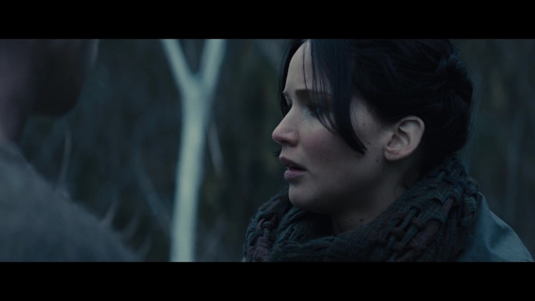 The_Hunger_Games_Catching_Fire_2013_1080p_BluRay_x264_AAC_-_Ozlem_02861.jpg