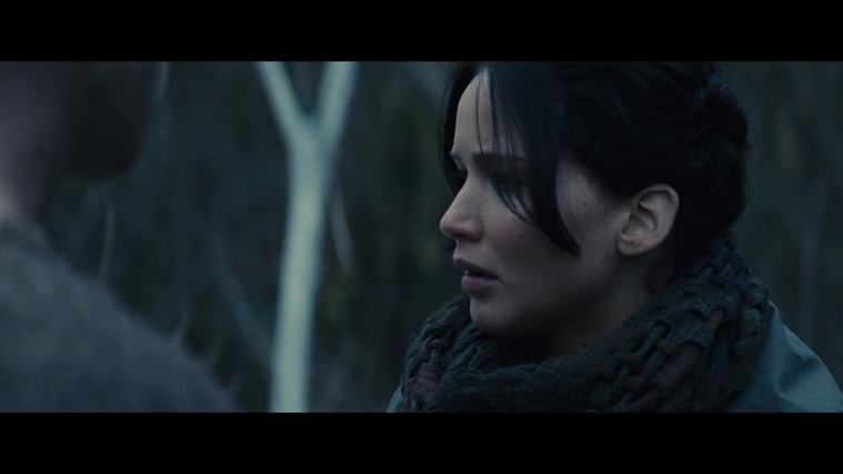 The_Hunger_Games_Catching_Fire_2013_1080p_BluRay_x264_AAC_-_Ozlem_02862.jpg