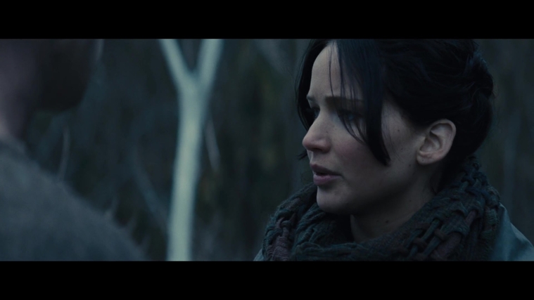 The_Hunger_Games_Catching_Fire_2013_1080p_BluRay_x264_AAC_-_Ozlem_02863.jpg