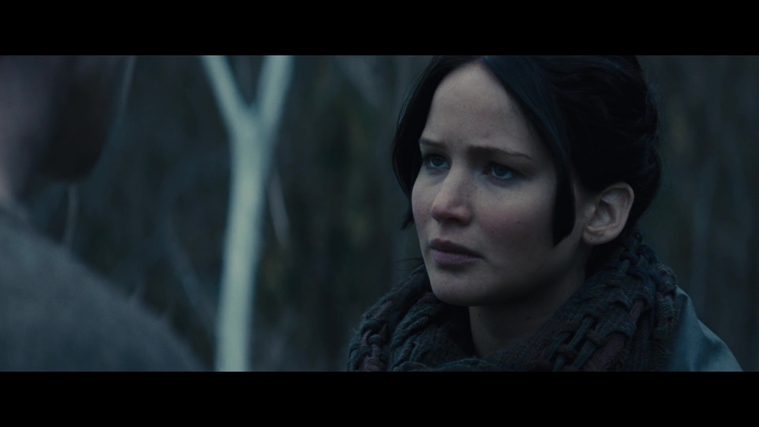 The_Hunger_Games_Catching_Fire_2013_1080p_BluRay_x264_AAC_-_Ozlem_02868.jpg
