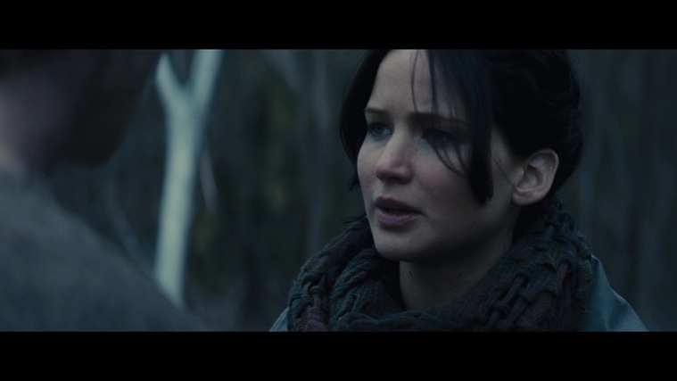 The_Hunger_Games_Catching_Fire_2013_1080p_BluRay_x264_AAC_-_Ozlem_02877.jpg