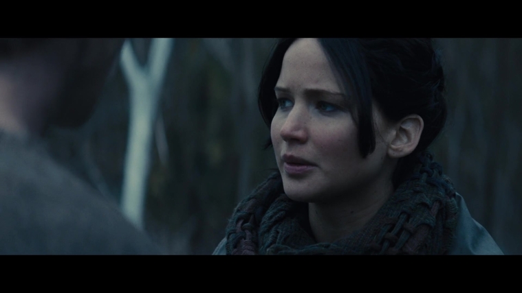 The_Hunger_Games_Catching_Fire_2013_1080p_BluRay_x264_AAC_-_Ozlem_02879.jpg