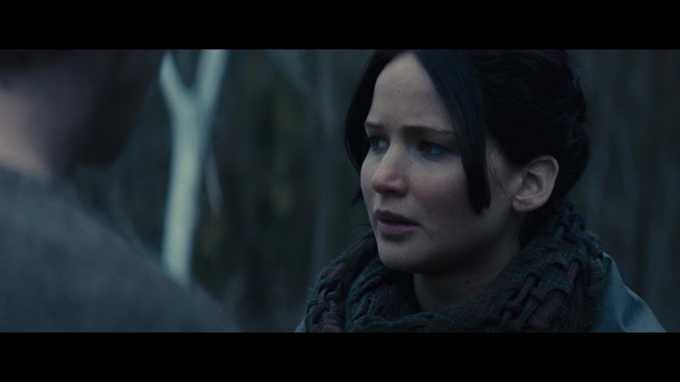 The_Hunger_Games_Catching_Fire_2013_1080p_BluRay_x264_AAC_-_Ozlem_02880.jpg