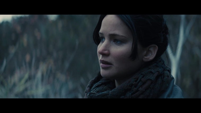 The_Hunger_Games_Catching_Fire_2013_1080p_BluRay_x264_AAC_-_Ozlem_02894.jpg
