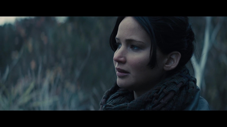 The_Hunger_Games_Catching_Fire_2013_1080p_BluRay_x264_AAC_-_Ozlem_02895.jpg