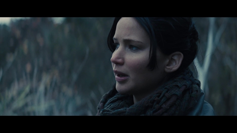 The_Hunger_Games_Catching_Fire_2013_1080p_BluRay_x264_AAC_-_Ozlem_02898.jpg