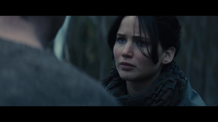 The_Hunger_Games_Catching_Fire_2013_1080p_BluRay_x264_AAC_-_Ozlem_02910.jpg