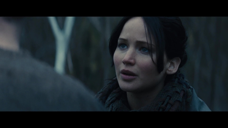 The_Hunger_Games_Catching_Fire_2013_1080p_BluRay_x264_AAC_-_Ozlem_02923.jpg