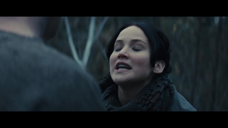 The_Hunger_Games_Catching_Fire_2013_1080p_BluRay_x264_AAC_-_Ozlem_02935.jpg