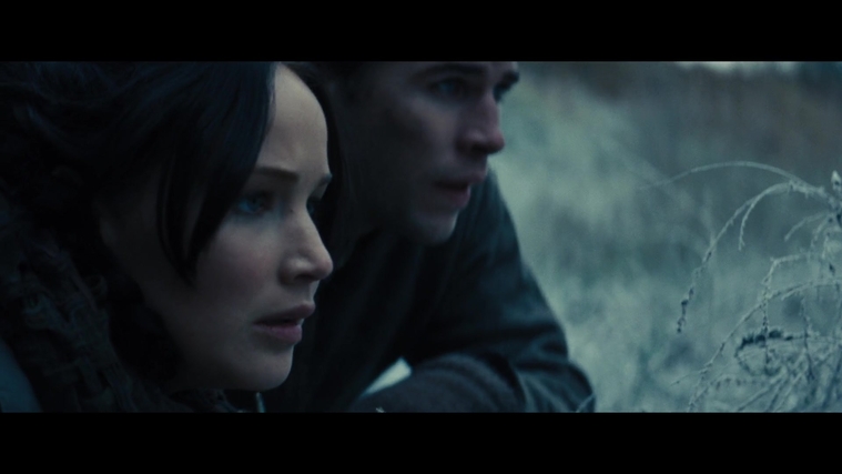 The_Hunger_Games_Catching_Fire_2013_1080p_BluRay_x264_AAC_-_Ozlem_02943.jpg