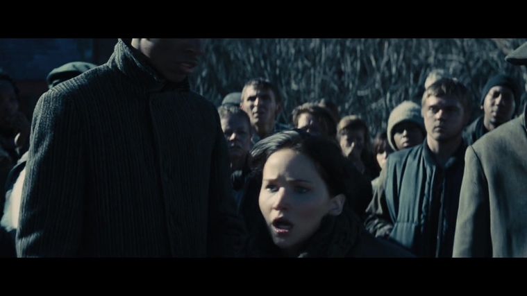 The_Hunger_Games_Catching_Fire_2013_1080p_BluRay_x264_AAC_-_Ozlem_03164.jpg