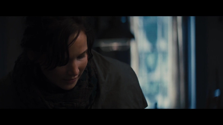 The_Hunger_Games_Catching_Fire_2013_1080p_BluRay_x264_AAC_-_Ozlem_03375.jpg