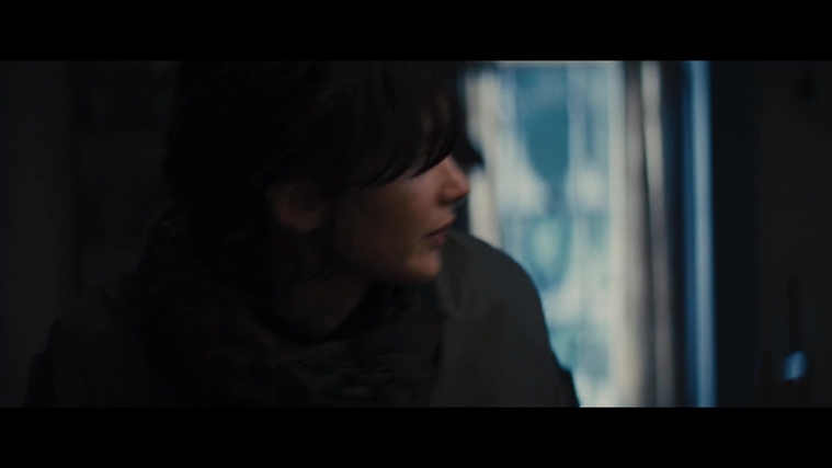The_Hunger_Games_Catching_Fire_2013_1080p_BluRay_x264_AAC_-_Ozlem_03376.jpg