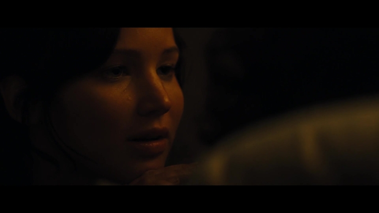 The_Hunger_Games_Catching_Fire_2013_1080p_BluRay_x264_AAC_-_Ozlem_03470.jpg