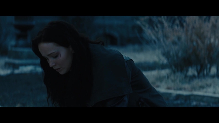 The_Hunger_Games_Catching_Fire_2013_1080p_BluRay_x264_AAC_-_Ozlem_03562.jpg
