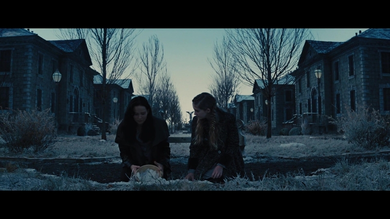 The_Hunger_Games_Catching_Fire_2013_1080p_BluRay_x264_AAC_-_Ozlem_03574.jpg