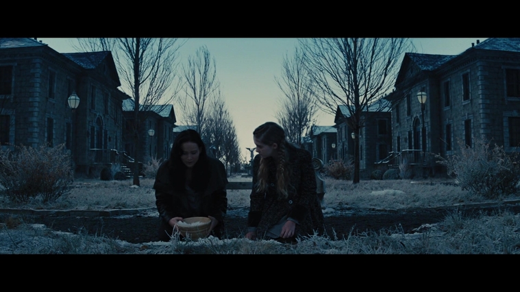 The_Hunger_Games_Catching_Fire_2013_1080p_BluRay_x264_AAC_-_Ozlem_03575.jpg