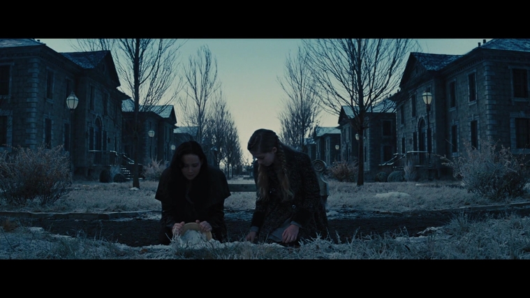 The_Hunger_Games_Catching_Fire_2013_1080p_BluRay_x264_AAC_-_Ozlem_03578.jpg