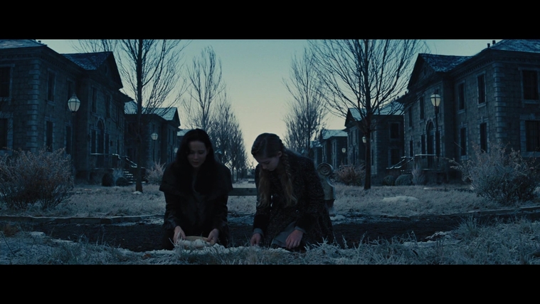 The_Hunger_Games_Catching_Fire_2013_1080p_BluRay_x264_AAC_-_Ozlem_03580.jpg