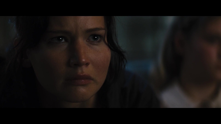 The_Hunger_Games_Catching_Fire_2013_1080p_BluRay_x264_AAC_-_Ozlem_03821.jpg
