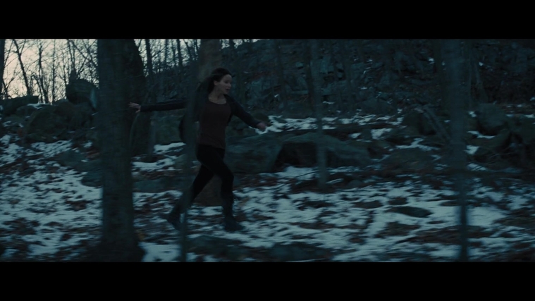 The_Hunger_Games_Catching_Fire_2013_1080p_BluRay_x264_AAC_-_Ozlem_03851.jpg