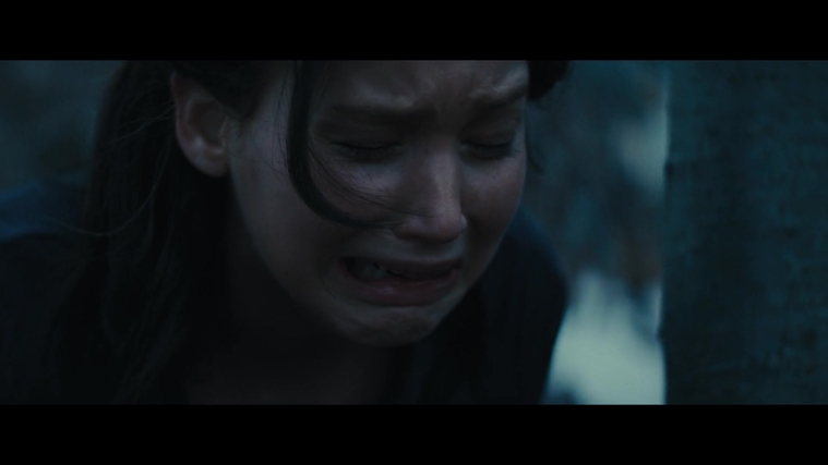 The_Hunger_Games_Catching_Fire_2013_1080p_BluRay_x264_AAC_-_Ozlem_03868.jpg
