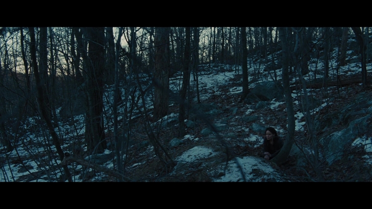 The_Hunger_Games_Catching_Fire_2013_1080p_BluRay_x264_AAC_-_Ozlem_03877.jpg